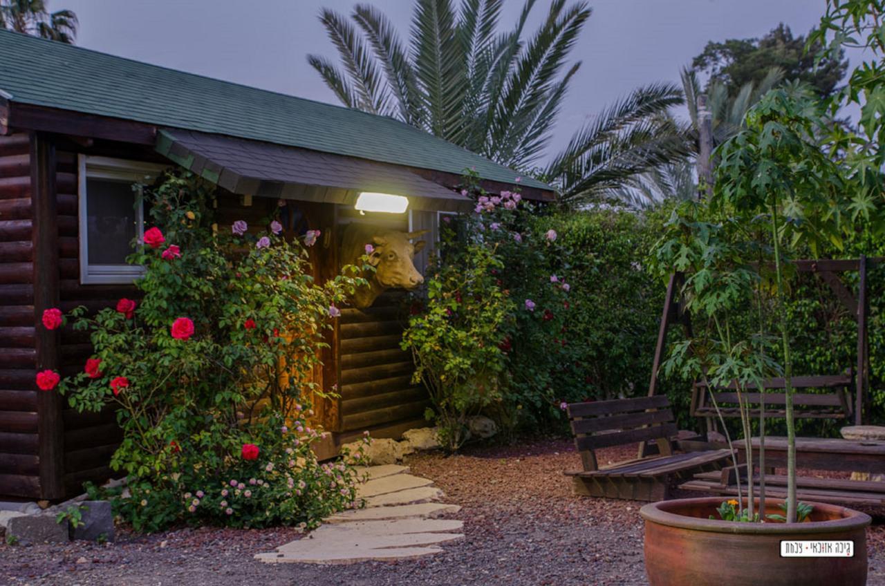 Moon Light Yavne'El Villa Exterior foto